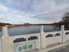 -大兴滨河森林公园