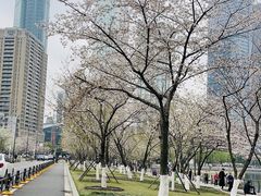 -西北湖绿化广场