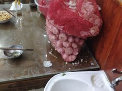 -回坊马二饺子馆