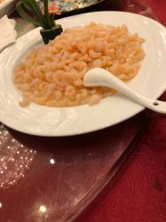 -新城花园酒店·宴会厅