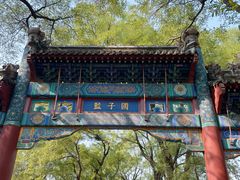 -北京国子监胡同