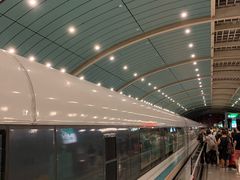 -龙阳路磁悬浮列车总站-停车场