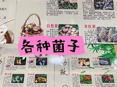 -九溪蒋记菌子宴