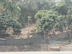 -满記土窑烧鷄波浪山莊