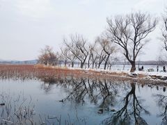 -颐和园