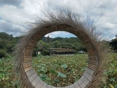 -红山村