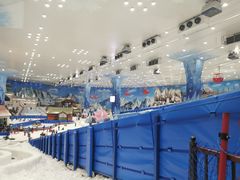 -湘江欢乐城欢乐雪域