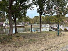 -新江湾城公园