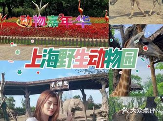 发现上野之美，重回童贞时光