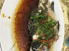 -红海湾豪记海鲜大排档