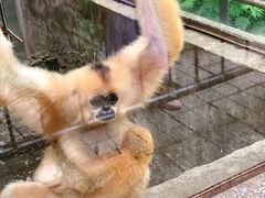 -昆明动物园