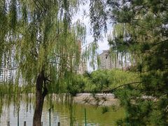 -迎泽公园