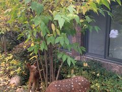 -天目湖御水温泉·度假酒店