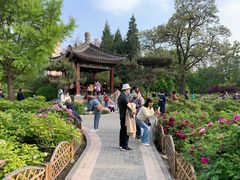 -迎泽公园