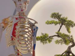 -席仁堂推拿按摩脊柱调理(世纪科贸大厦店)