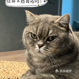 什么是快乐星球？脱口秀就五花肉！旁边孩子馋哭了[调皮]