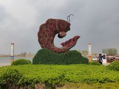 -白洋淀景区