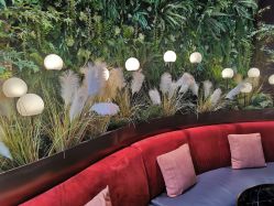 -花隐·美芙炫海菲秀皮肤管理中心