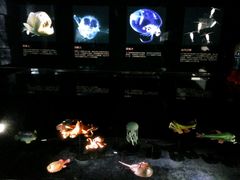 -同济大学四平路校区深海探索馆