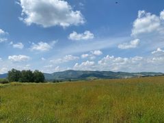 -塞罕坝国家级自然保护区