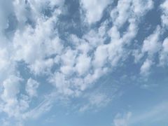 -冶父山国家森林公园