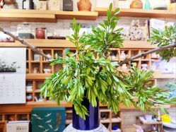 -今日陶艺(富力广场店)