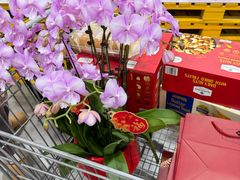 -山姆会员商店(杨桥西路店)
