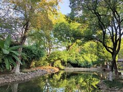 -八大山人梅湖景区
