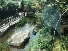 -聚缘堂·海鲜私房菜(松岭路店)