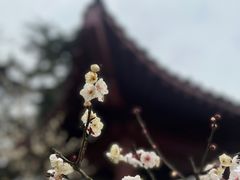 -湖滨客舍·湖北菜