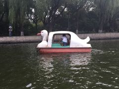 南湖公园游乐场(三项套餐)-沈阳南湖公园