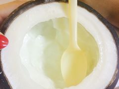 -志龙皇冠吃货椰子铺