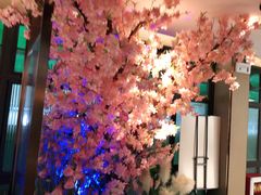 -野妹火锅(龙岗店)