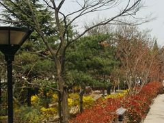 -观象山公园
