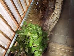 -醉霖生态餐厅(交大店)
