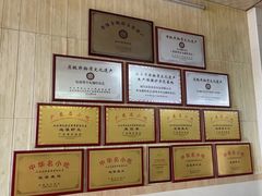 -蒂蒂香達濠魚丸