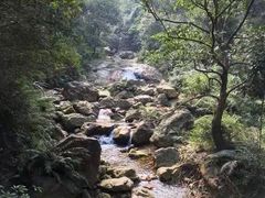 -南海湾森林生态园