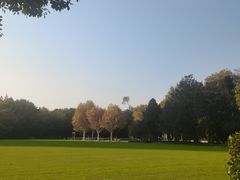 -中山公园