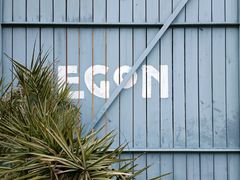 -EGoN