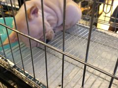 -远洋未来广场(育慧北路店)