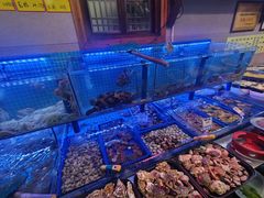 -老家黄墩小错鸡·活海鲜