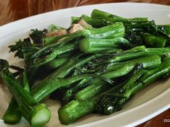 -顺德了能馆(虎门店)