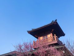 -习家池