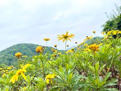 -铜锣山矿山公园