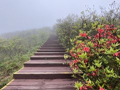 -大围山国家森林公园