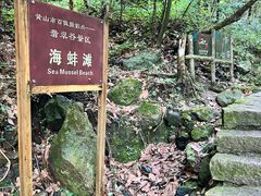 -黄山翡翠谷景区
