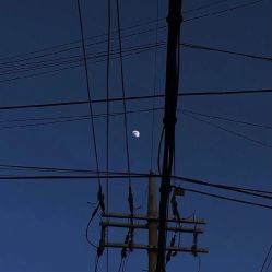 点击看大图 -凡碧诗毛孔清洁收细