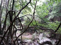 android_upload_pic-楠溪江风景名胜区