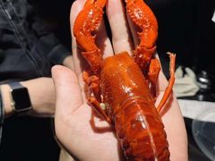 -旺小胖小龙虾