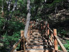 -大岭沟猕猴桃谷风景区